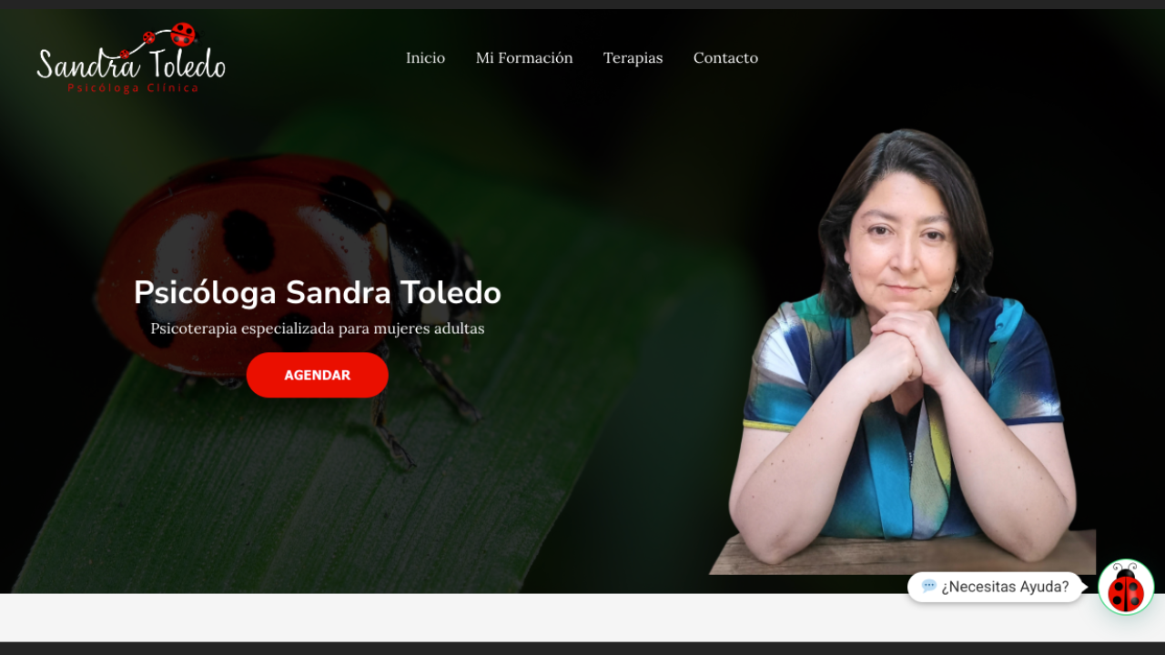Diseño Web para Psicóloga Sandra Toledo - Agencia 2Motivos Spa