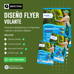 diseño de flyer