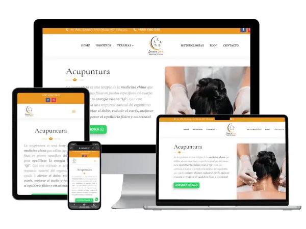Diseño De Páginas Web Para Acupunturistas - Agencia 2Motivos