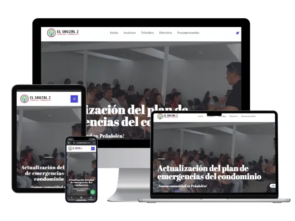 Diseño De Páginas Web Para Agrupación Social - Agencia 2Motivos