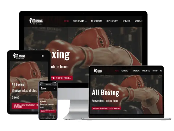 Diseño De Páginas Web Para Clases Boxeo - Agencia 2Motivos