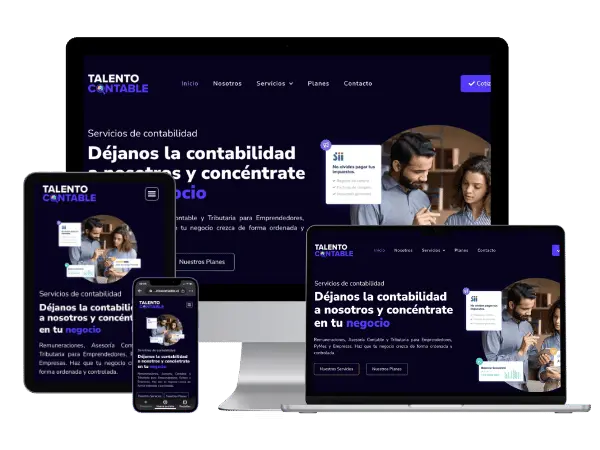 Diseño De Páginas Web Para Contador Auditor - Agencia 2Motivos