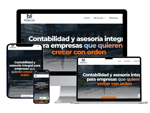 Diseño De Páginas Web Para Contador General - Agencia 2Motivos