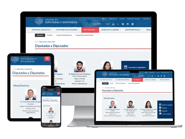 Diseño De Páginas Web Para Diputados - Agencia 2Motivos