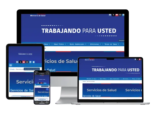 Diseño De Páginas Web Para Especialista En Salud Publica - Agencia 2Motivos