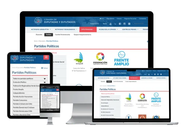Diseño De Páginas Web Para Partidos Políticos - Agencia 2Motivos