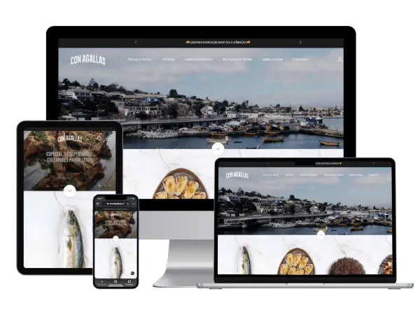 Diseño De Páginas Web Para Pescaderias - Agencia 2Motivos