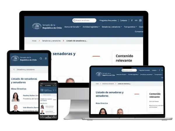 Diseño De Páginas Web Para Senadores - Agencia 2Motivos