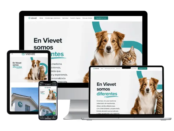 Diseño De Páginas Web Para Veterinarias - Agencia 2Motivos (1)